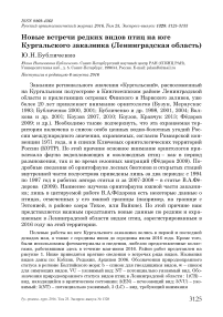 Новые встречи редких видов птиц на юге Кургальского заказника (Ленинградская область)