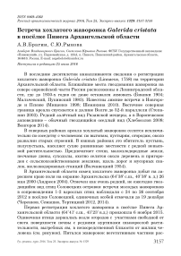 Встреча хохлатого жаворонка Galerida cristata в посёлке Пинега Архангельской области