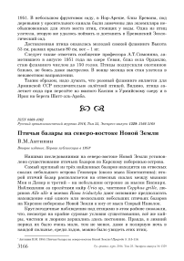 Птичьи базары на северо-востоке Новой Земли