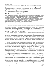 Смешанная колония чайковых птиц в Унской губе Белого моря как возможный объект экологического мониторинга