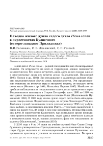 Находка жилого дупла седого дятла Picus canus в окрестностях Кузнечного (северо-западное Приладожье)