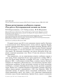 Новая регистрация альбиноса сороки Pica pica в Бухтарминской долине на Алтае