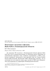 Некоторые сведения о филине Bubo bubo в Ленинградской области