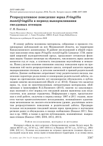 Репродуктивное поведение юрка Fringilla montifringilla в период выкармливания гнездовых птенцов