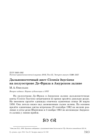 Дальневосточный аист Ciconia boyciana на полуострове Де-Фриза в Амурском заливе