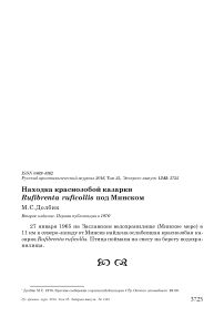 Находка краснозобой казарки Rufibrenta ruficollis под Минском