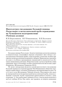 Многолетнее гнездование большой синицы Parus major в металлической трубе ограждения на Чумышском водохранилище (Чуйская долина)