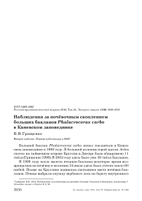 Наблюдения за ночёвочным скоплением больших бакланов Phalacrocorax carbo в Каневском заповеднике