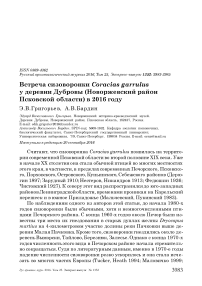 Встреча сизоворонки Coracias garrulus у деревни Дубровы (Новоржевский район Псковской области) в 2016 году