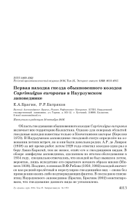 Первая находка гнезда обыкновенного козодоя Caprimulgus europaeus в Наурзумском заповеднике