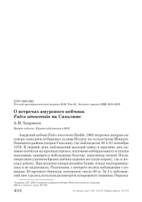 О встречах амурского кобчика Falco amurensis на Сахалине