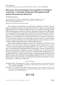 Находка окольцованного вальдшнепа Scolopax rusticola у деревни Дубровы (Новоржевский район Псковской области)