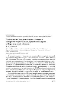 Новое место вероятного гнездования северной бормотушки Hippolais caligata в Воронежской области