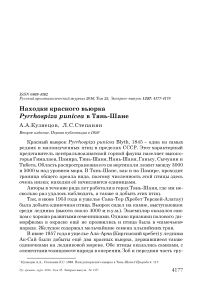 Находки красного вьюрка Pyrrhospiza punicea в Тянь-Шане