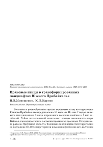 Врановые птицы в трансформированных ландшафтах Южного Прибайкалья