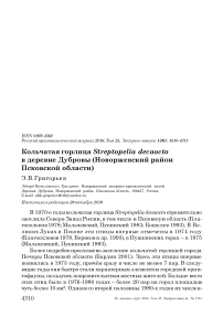 Кольчатая горлица Streptopelia decaocto в деревне Дубровы (Новоржевский район Псковской области)