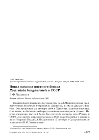 Новая находка цветного бекаса Rostratula benghalensis в СССР