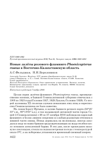 Новые залёты розового фламинго Phoenicopterus roseus в Восточно-Казахстанскую область