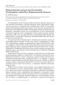 Новая находка гнезда малой поганки Tachybaptus ruficollis в Воронежской области