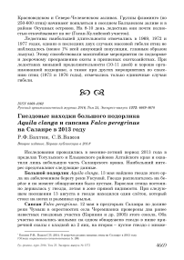 Гнездовые находки большого подорлика Aquila clanga и сапсана Falco peregrinus на Салаире в 2013 году