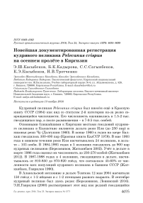 Новейшая документированная регистрация кудрявого пеликана Pelecanus crispus на осеннем пролёте в Киргизии