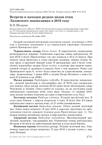 Встречи и находки редких видов птиц Лазовского заповедника в 2016 году