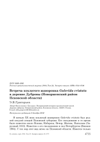 Встреча хохлатого жаворонка Galerida cristata в деревне Дубровы (Новоржевский район Псковской области)