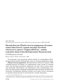 Малый баклан Phalacrocorax pygmaeus, буланая совка Otus brucei, серый снегирь Pyrrhula cineracea и урагус Uragus sibiricus - новые и редкие виды птиц Центральных Кызылкумов