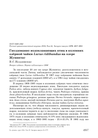 Гнездование водоплавающих птиц в колониях озёрной чайки Larus ridibundus на озере Жувинтас