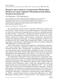 Встреча круглоносого плавунчика Phalaropus lobatus на озере Здраное (Новоржевский район Псковской области)