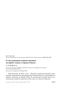 О гнездовании перепелятника Accipiter nisus в городе Омске