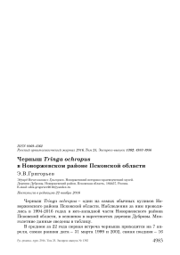 Черныш Tringa ochropus в Новоржевском районе Псковской области