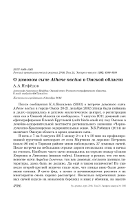 О домовом сыче Athene noctua в Омской области