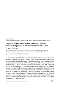 Первый случай отлова белозобого дрозда Turdus torquatus в Ленинградской области