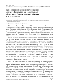 Нахождение большой белой цапли Casmerodius albus на реке Жарма в Восточно-Казахстанской области