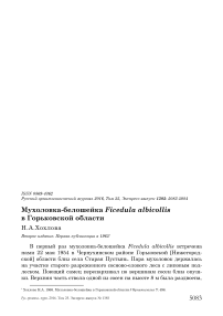 Мухоловка-белошейка Ficedula albicollis в Горьковской области