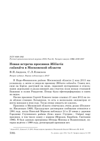 Новая встреча просянки Miliaria calandra в Московской области