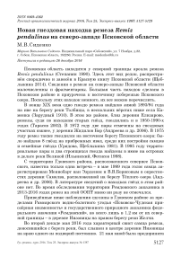 Новая гнездовая находка ремеза Remiz pendulinus на северо-западе Псковской области