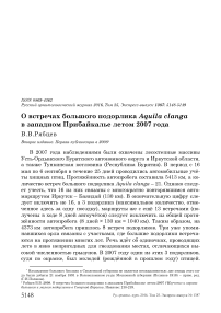 О встречах большого подорлика Aquila clanga в западном Прибайкалье летом 2007 года