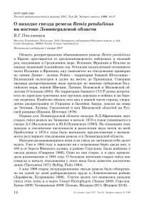 О находке гнезда ремеза Remiz pendulinus на востоке Ленинградской области