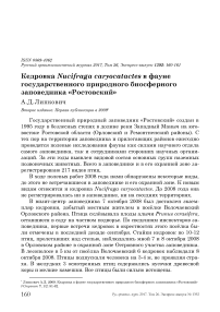 Кедровка Nucifraga caryocatactes в фауне государственного природного биосферного заповедника «Ростовский»