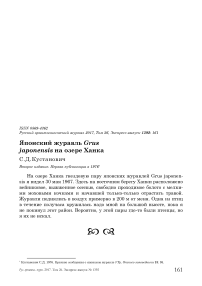 Японский журавль Grus japonensis на озере Ханка