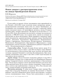 Новые данные о распространении птиц на западе Оренбургской области