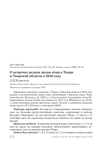 О встречах редких видов птиц в Твери и Тверской области в 2016 году