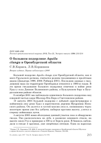 О большом подорлике Aquila clanga в Оренбургской области