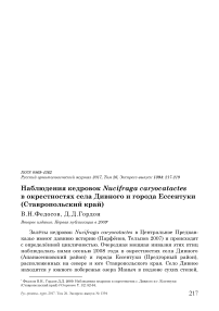 Наблюдения кедровок Nucifraga caryocatactes в окрестностях села Дивного и города Ессентуки (Ставропольский край)