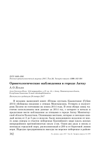 Орнитологические наблюдения в городе Актау