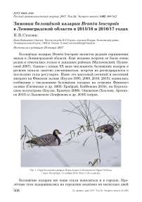 Зимовки белощёкой казарки Branta leucopsis в Ленинградской области в 2015/16 и 2016/17 годах