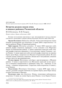 Встречи редких видов птиц в южных районах Рязанской области