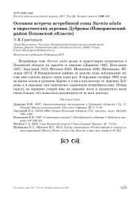 Осенняя встреча ястребиной совы Surnia ulula в окрестностях деревни Дубровы (Новоржевский район Псковской области)